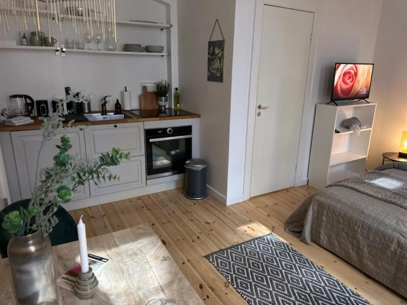 Fantastic Studio Apartment Kopenhag Dış mekan fotoğraf